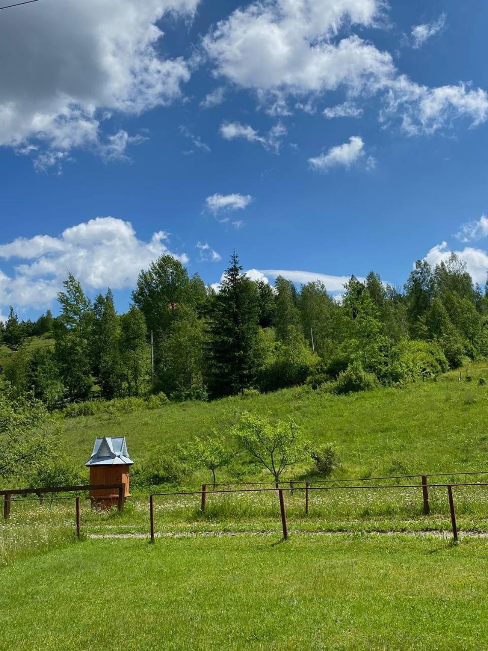 Appartamento Карпатська Полонина Jaremče Esterno foto